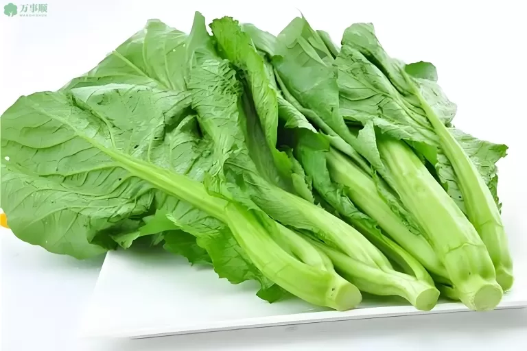 春季吃芥菜，营养又养生