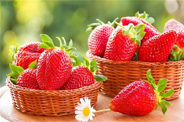 春天吃草莓，提神开胃润肺健脾