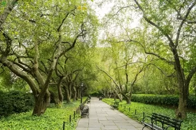 春季健康养生之春日养生三宝